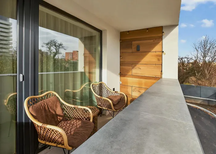 Mohost Elioré - A Story Written In Light * Braşov